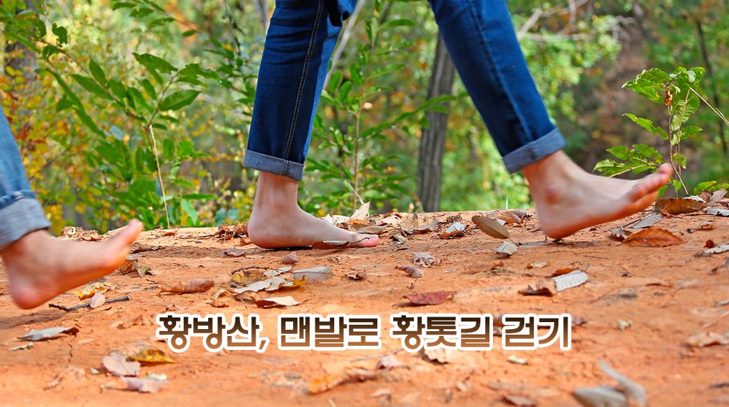 황방산, 맨발로 황톳길 걷기