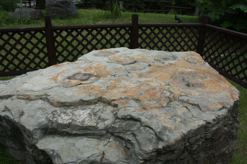 공룡 발자국 화석의 모습
