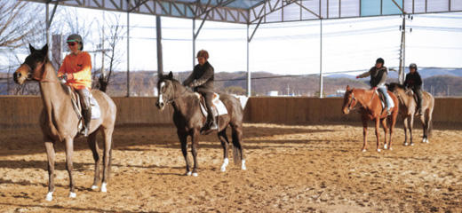 JK Horse Riding Park