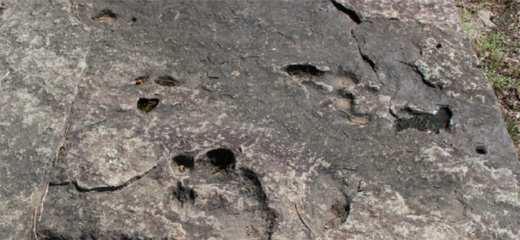 大谷里恐竜の足跡化石