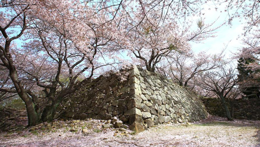 西生浦倭城（文化遗产资料第8号）