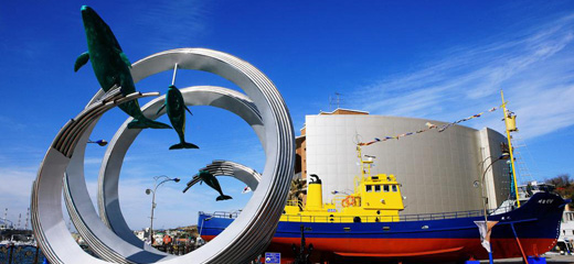 >Jangsaengpo Whale Museum