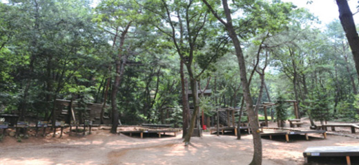 立火山健康林露营场