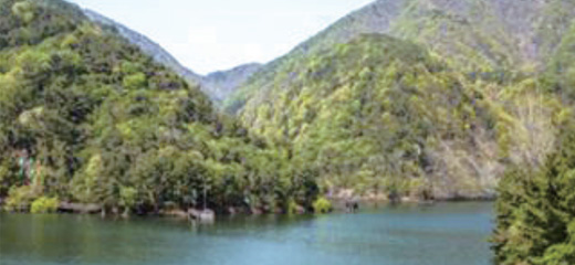 松亭朴尚镇湖水公园