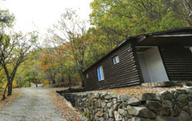 肝月山自然休养林