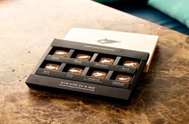 Ulsan Whale Chocolate