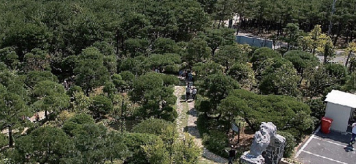蔚山テーマ植物樹木園