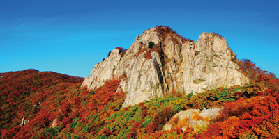 加智山