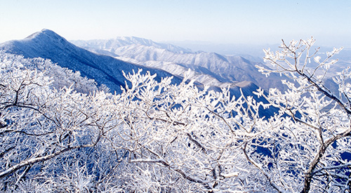 가지산 전경