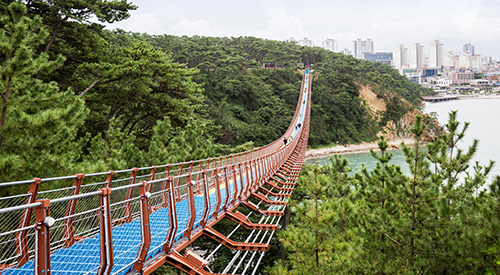 대왕암공원과 출렁다리