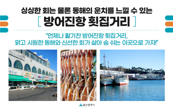 싱싱한 회는 물론 동해의 운치를 느낄 수 있는 방어진항 횟집거리 - 맑고 시원한 동해와 신선한 회가 살아 숨 쉬는 이곳으로 가자!