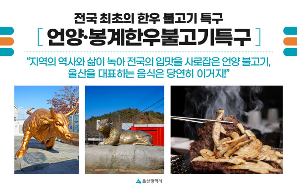 전국 최초의 한우 불고기 특구 언양·봉계한우불고기특구 - 지역의 역사와 삶이 녹아 전국의 입맛을 사로잡은 언양 불고기