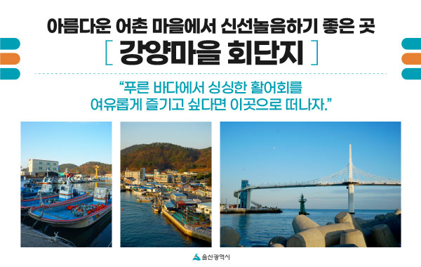 아름다운 어촌 마을에서 신선놀음하기 좋은 곳 강양마을 회단지 - 푸른 바다에서 싱싱한 활어회를 여유롭게 즐기고 싶다면 이곳으로 떠나자
