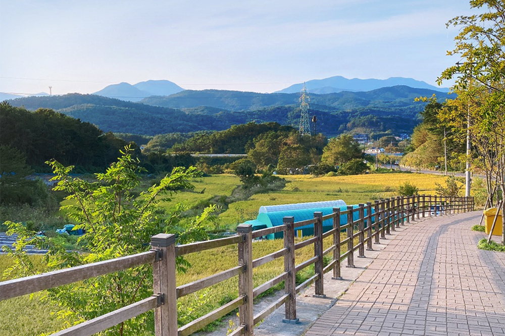 울산 중구 함월 둘레길 모습
