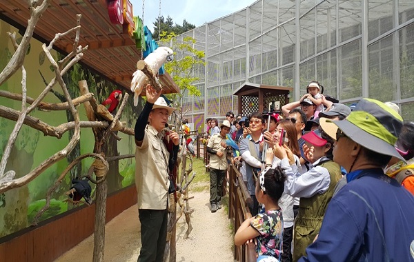 울산대공원 사진3_대공원동물원 앵무새를 관람중인 방문객과 사육사