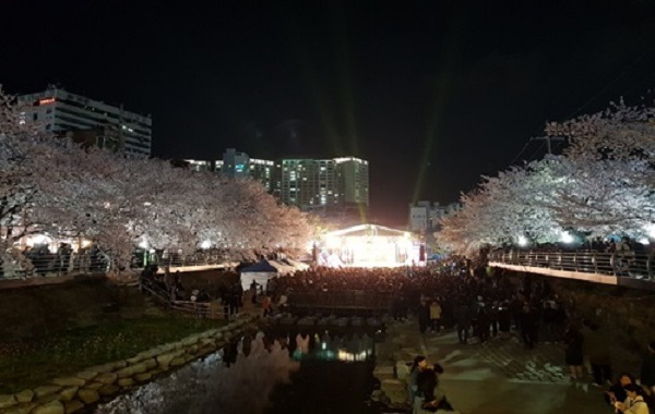 궁거랑벚꽃한마당 - 밤 벚꽃사진