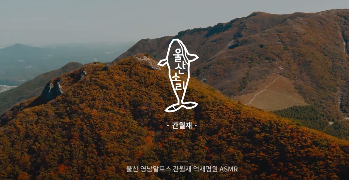 울산소리 간월재 울산 영남알프스 간월재 억새평원 ASMR